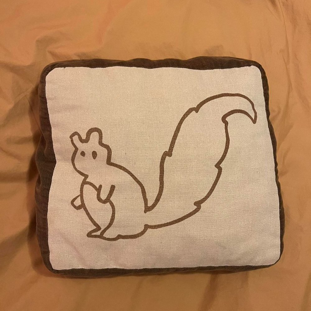 Squirrel throw pillow "sometimes I think I'm nuts"